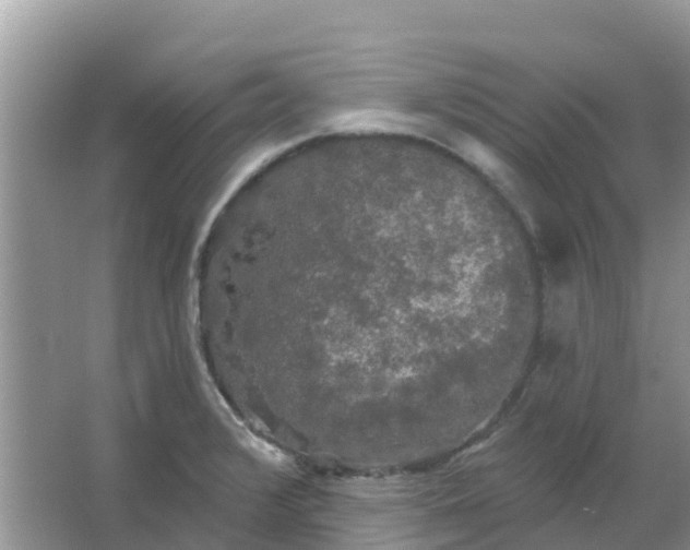 X0000066971376200604072019