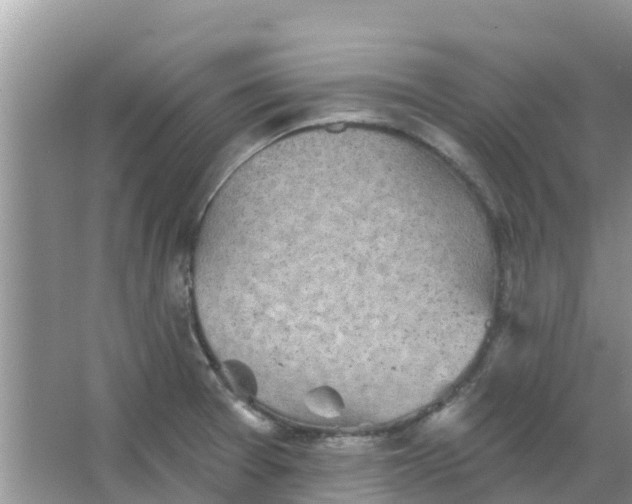 X0000066971377200604072019