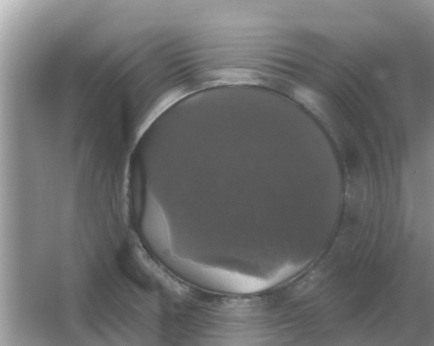 X0000066971378200604072019