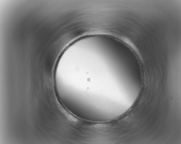 X0000066971380200604072019