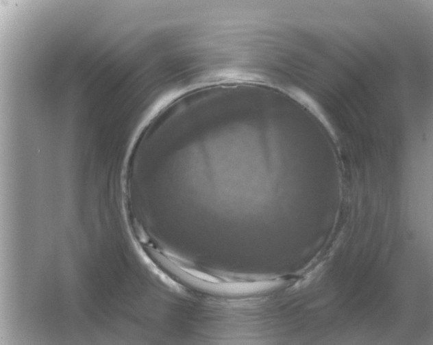 X0000066971381200604072019