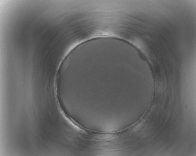 X0000066971382200604072019