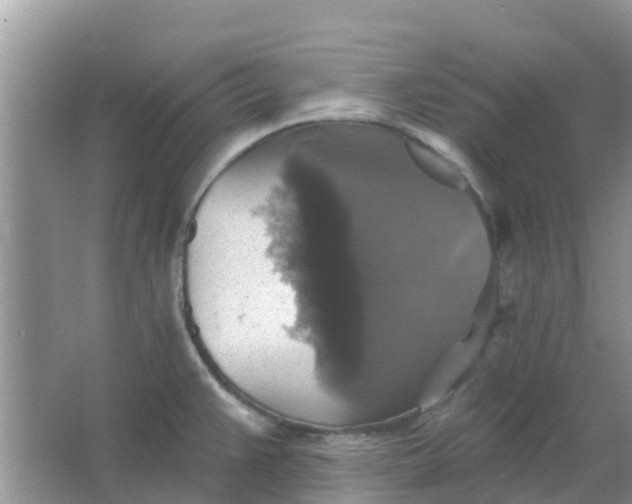 X0000066971383200604072019