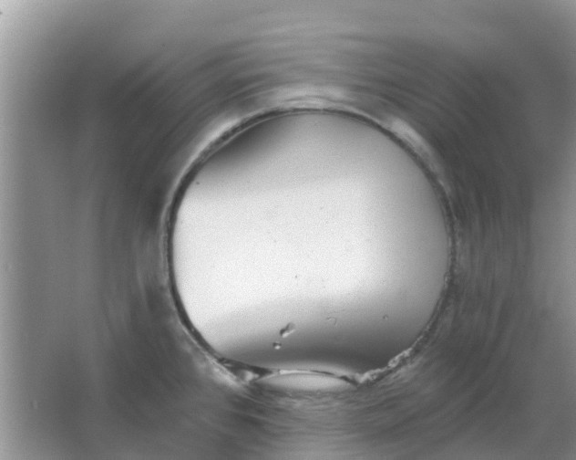 X0000066971384200604072019