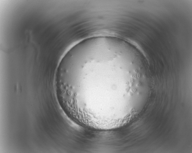 X0000066971387200604072019