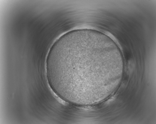 X0000066971388200604072019