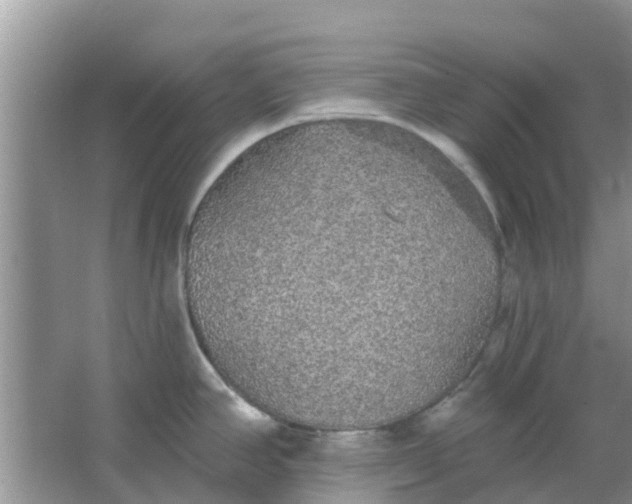 X0000066971390200604072019