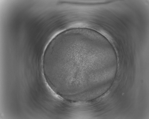 X0000066971392200604072019