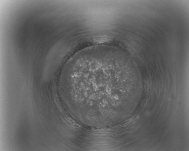 X0000066971393200604072018