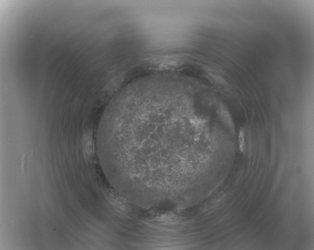 X0000066971395200604072018