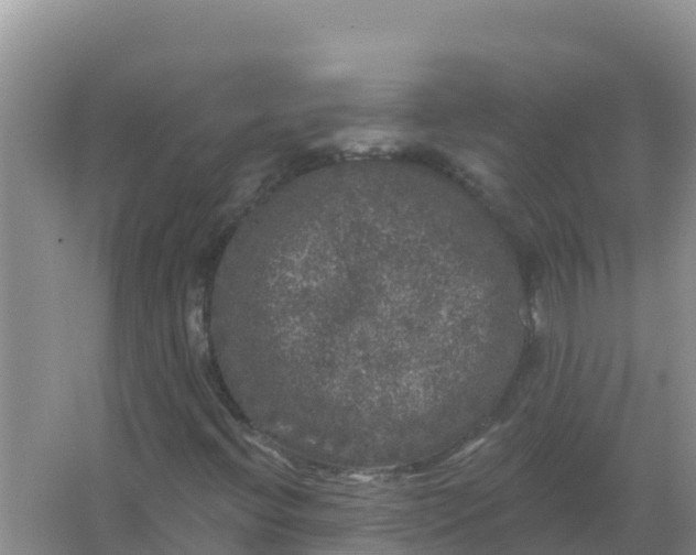 X0000066971396200604072018