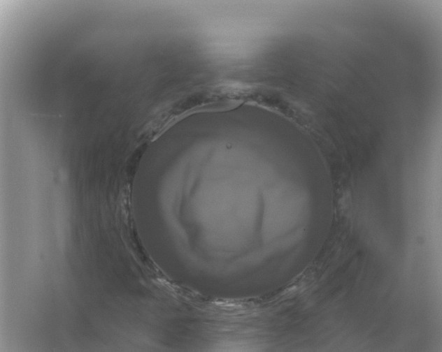 X0000066971397200604072018