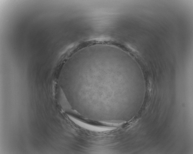 X0000066971398200604072018