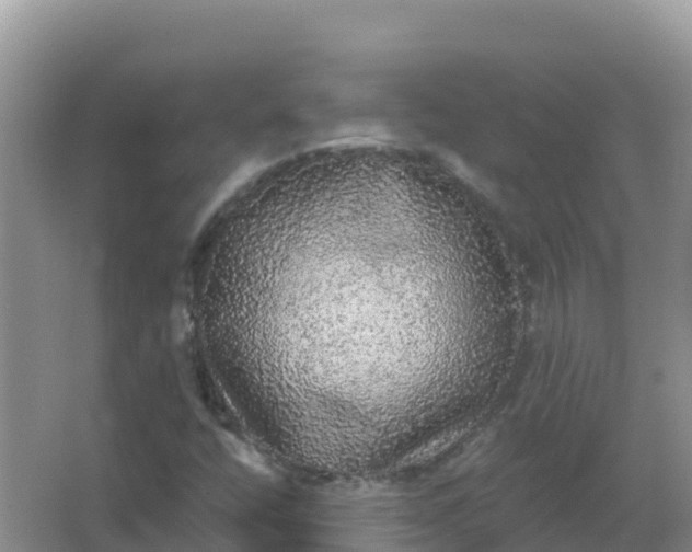 X0000066971400200604072018