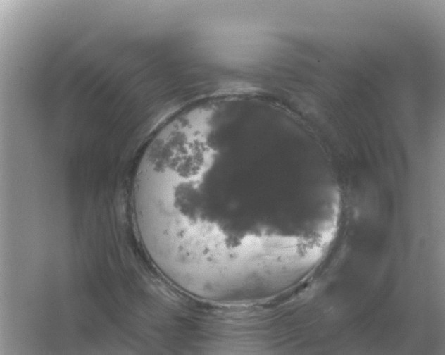 X0000066971401200604072018