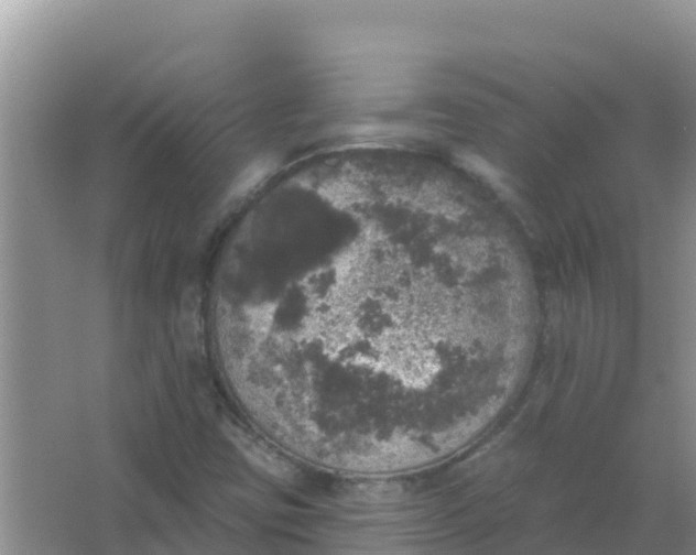 X0000066971403200604072018