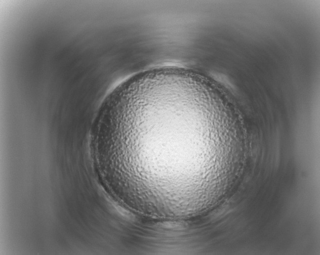 X0000066971404200604072018