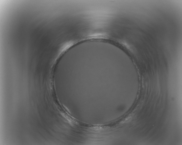 X0000066971405200604072018