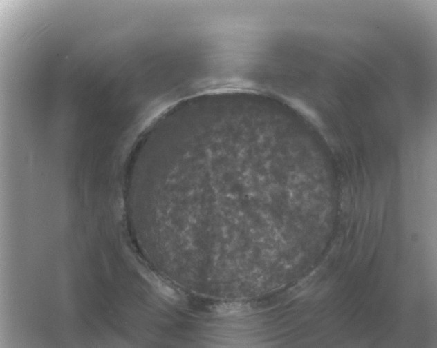 X0000066971407200604072018