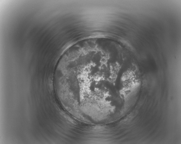 X0000066971409200604072018