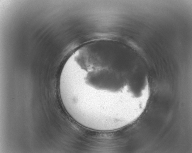 X0000066971411200604072018