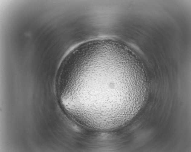 X0000066971412200604072018