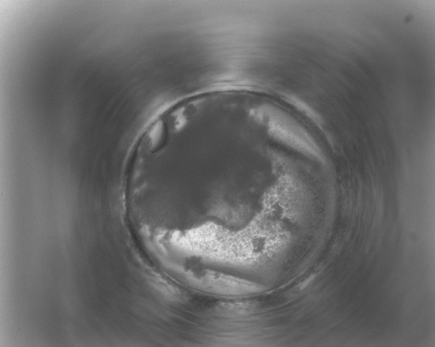 X0000066971415200604072018