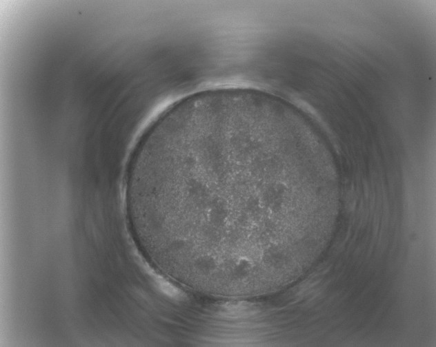 X0000066971416200604072018