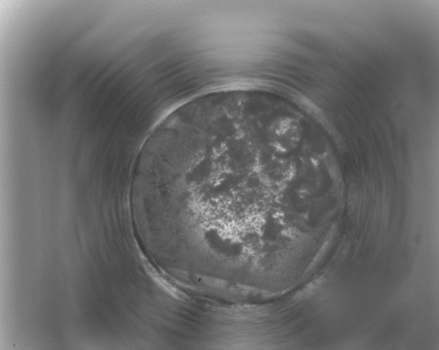 X0000066971417200604072018