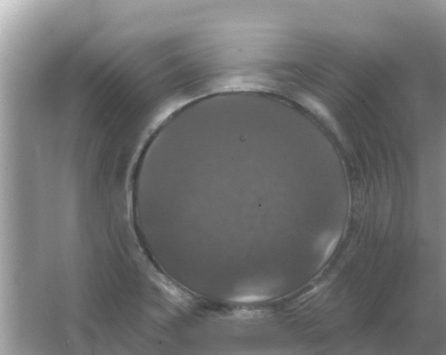 X0000066971419200604072018