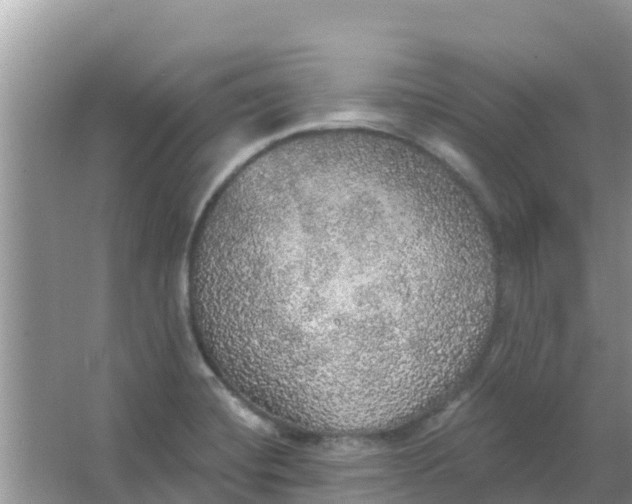 X0000066971420200604072018