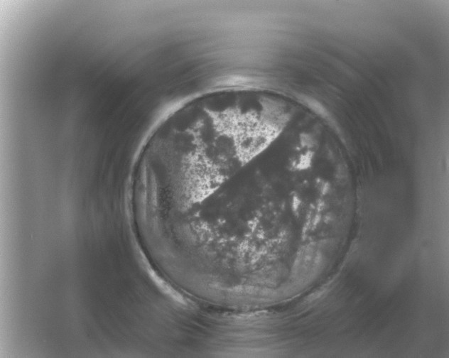 X0000066971421200604072018