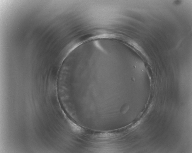 X0000066971425200604072018