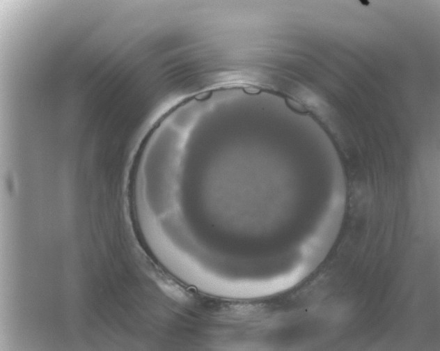 X0000066971427200604072019