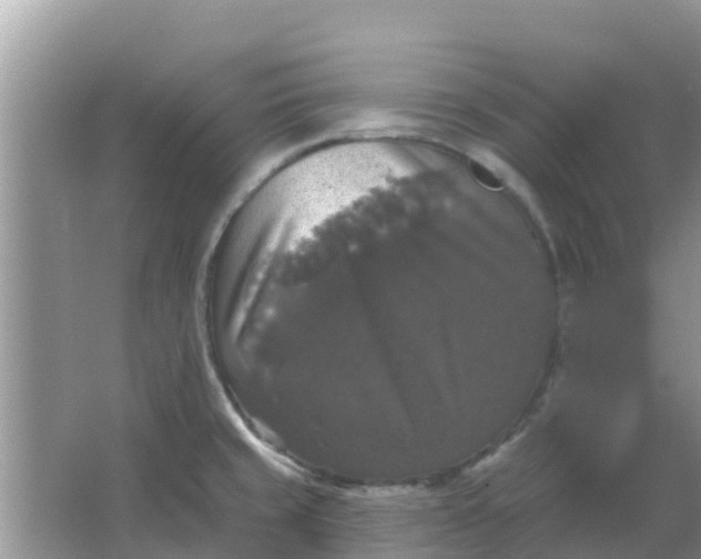 X0000066971429200604072019