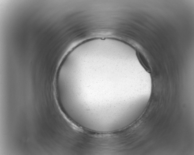 X0000066971432200604072019