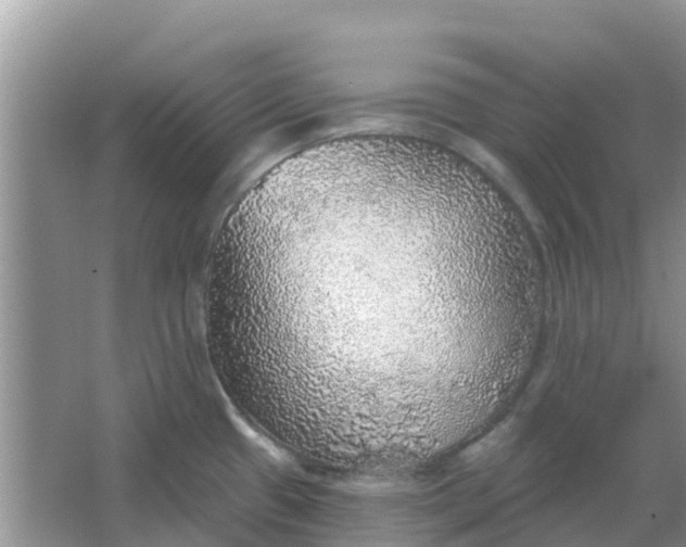 X0000066971433200604072019