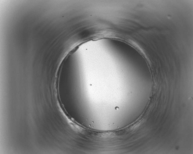 X0000066971434200604072019