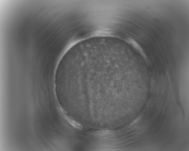 X0000066971435200604072019