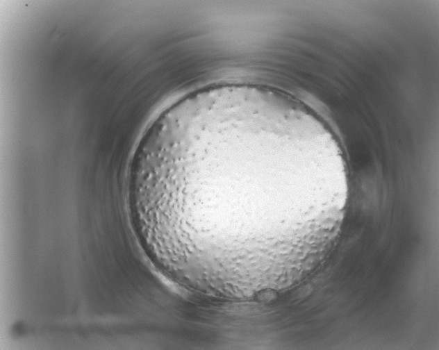 X0000066971437200604072019