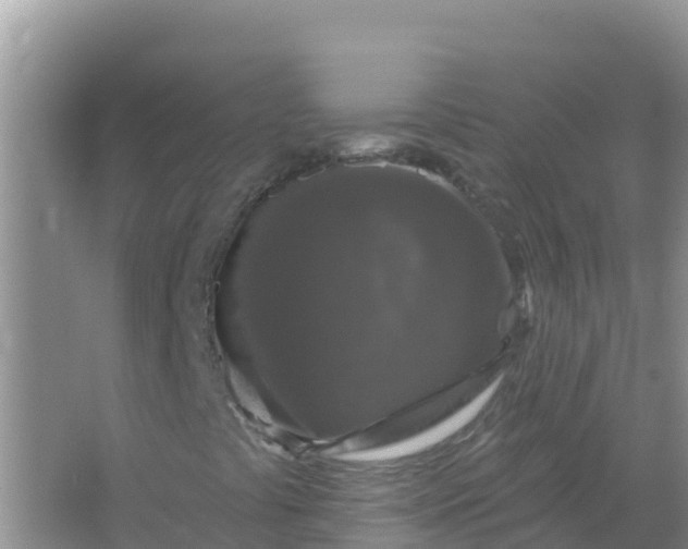 X0000066971441200604072018