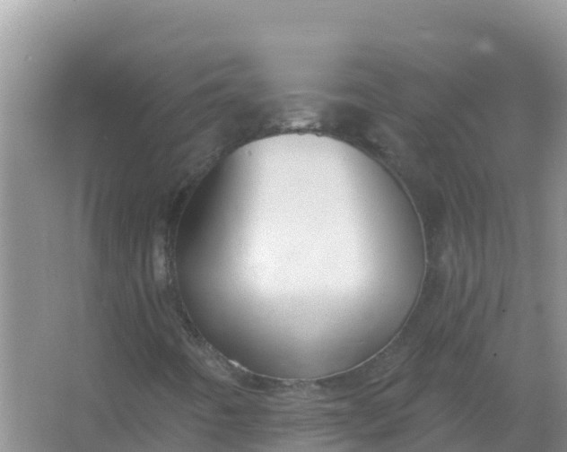 X0000066971442200604072018