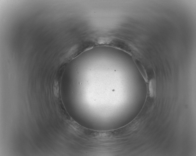 X0000066971443200604072018