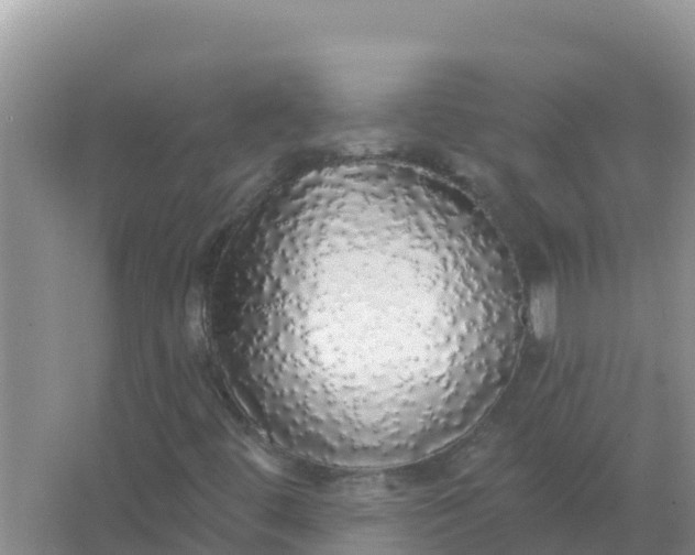 X0000066971444200604072018