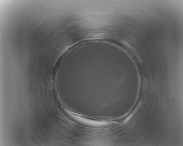 X0000066971449200604072018