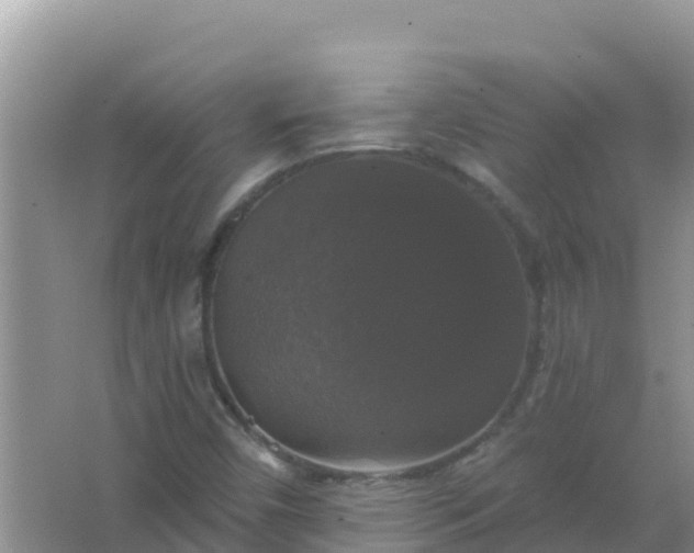 X0000066971450200604072018