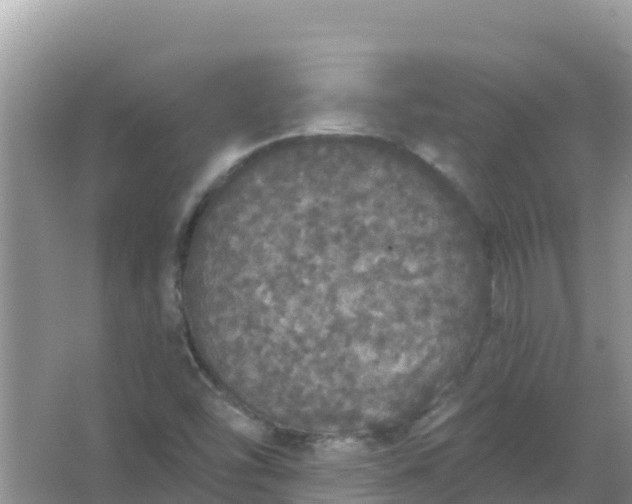 X0000066971454200604072018