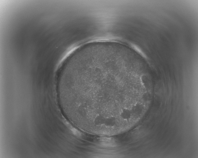 X0000066971456200604072018