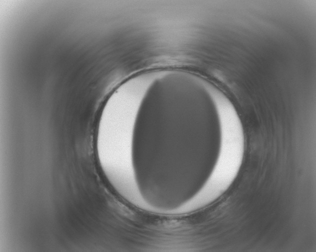 X0000066971459200604072018