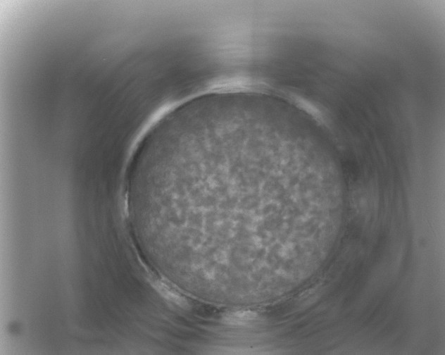 X0000066971462200604072018